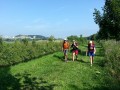 2013-07-18 10_44 018